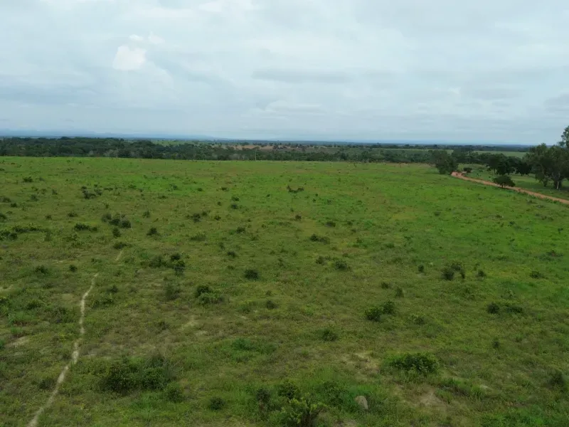 Fazenda em Colinas do Tocantins/Tocantins — Ref VW0Z7H — Imagem 13