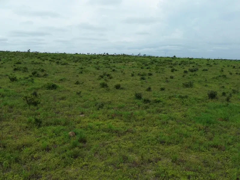 Fazenda em Colinas do Tocantins/Tocantins — Ref VW0Z7H — Imagem 14