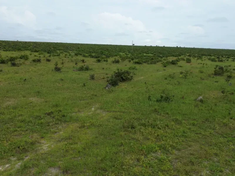 Fazenda em Colinas do Tocantins/Tocantins — Ref VW0Z7H — Imagem 15