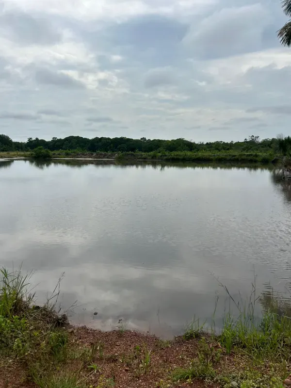 Fazenda em Colinas do Tocantins/Tocantins — Ref VW0Z7H — Imagem 7