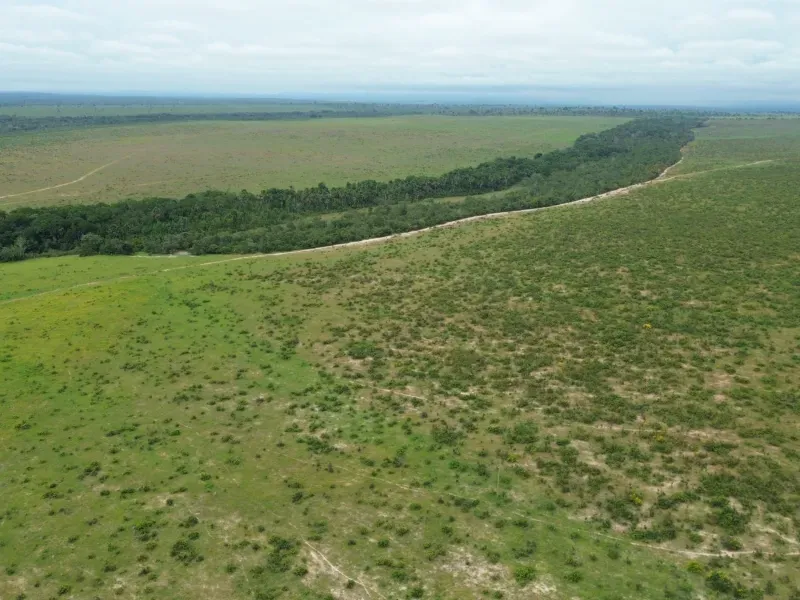 Fazenda em Colinas do Tocantins/Tocantins — Ref VW0Z7H — Imagem 16