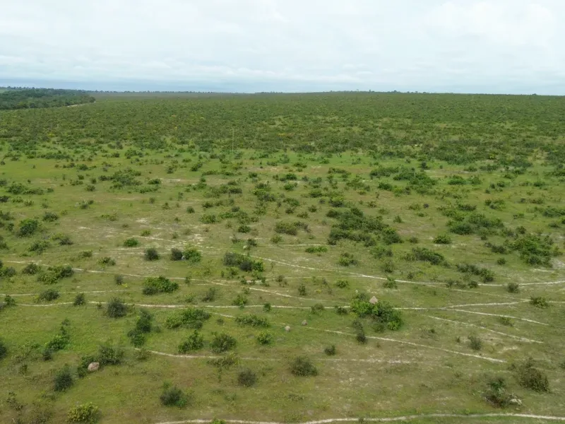 Fazenda em Colinas do Tocantins/Tocantins — Ref VW0Z7H — Imagem 17