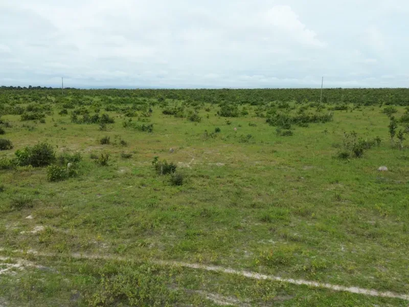 Fazenda em Colinas do Tocantins/Tocantins — Ref VW0Z7H — Imagem 18