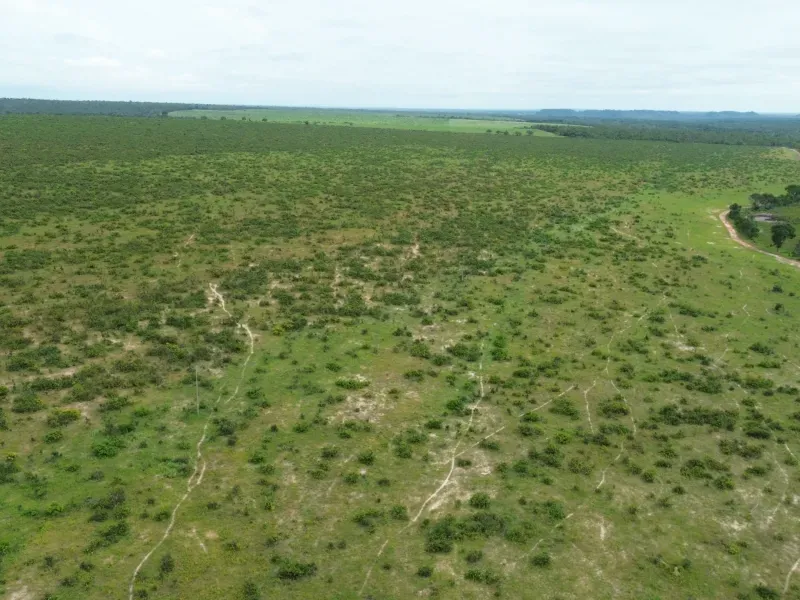 Fazenda em Colinas do Tocantins/Tocantins — Ref VW0Z7H — Imagem 23