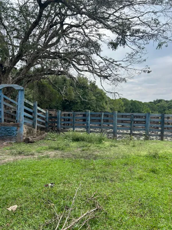 Fazenda em Colinas do Tocantins/Tocantins — Ref VW0Z7H — Imagem 5