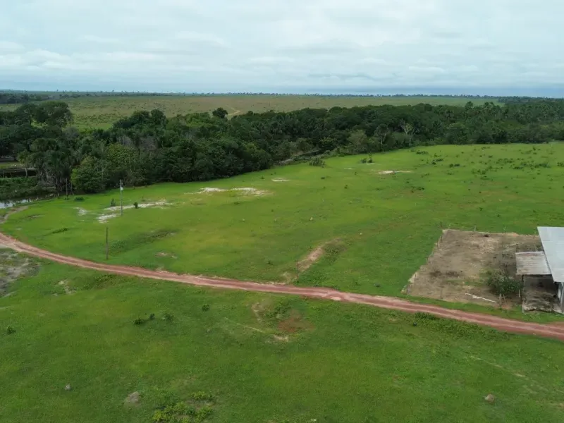 Fazenda em Colinas do Tocantins/Tocantins — Ref VW0Z7H — Imagem 24