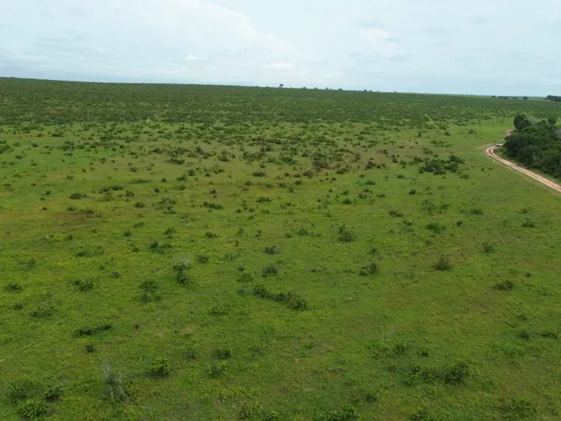 Fazenda em Colinas do Tocantins/Tocantins — Ref VW0Z7H — Imagem 25