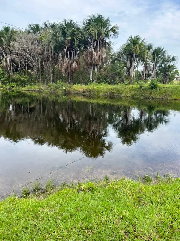 Fazenda em Colinas do Tocantins/Tocantins — Ref VW0Z7H — Imagem 6