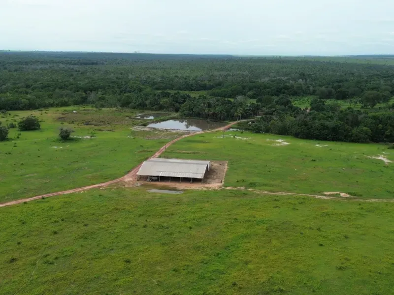 Fazenda em Colinas do Tocantins/Tocantins — Ref VW0Z7H — Imagem 26