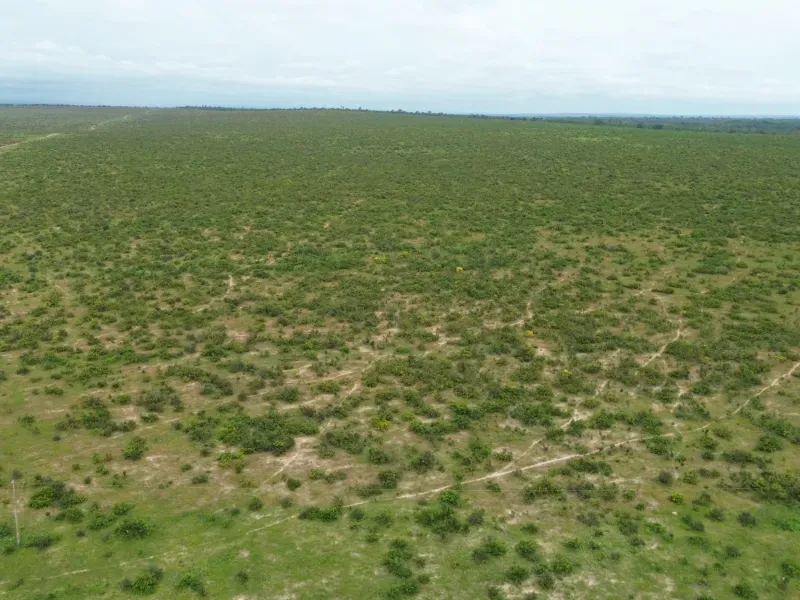 Fazenda em Colinas do Tocantins/Tocantins — Ref VW0Z7H — Imagem 27