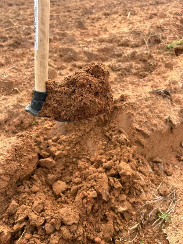 Fazenda em Colinas do Tocantins/Tocantins — Ref VW0Z7H — Imagem 28