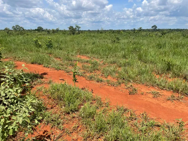 Imóvel rural em Pium/Tocantins — Ref 2ZL3LM1