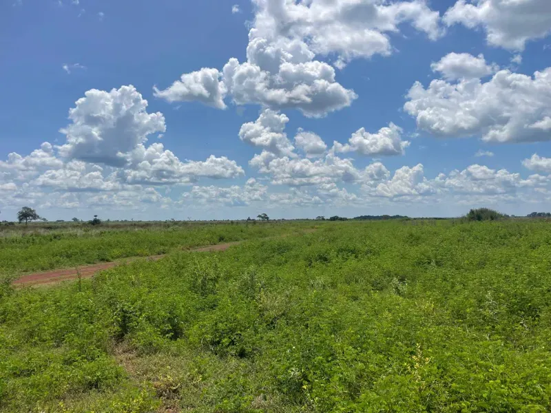 Fazenda em Pium/Tocantins — Ref 2ZL3LM — Imagem 2