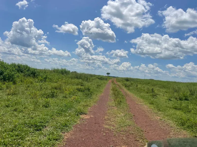 Fazenda em Pium/Tocantins — Ref 2ZL3LM — Imagem 3