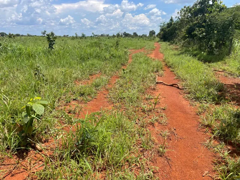 Fazenda em Pium/Tocantins — Ref 2ZL3LM — Imagem 6