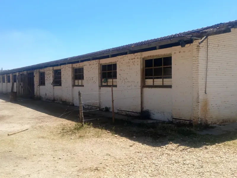 Fazenda em Santa Luzia/Minas Gerais — Ref IR1ZK2 — Imagem 16
