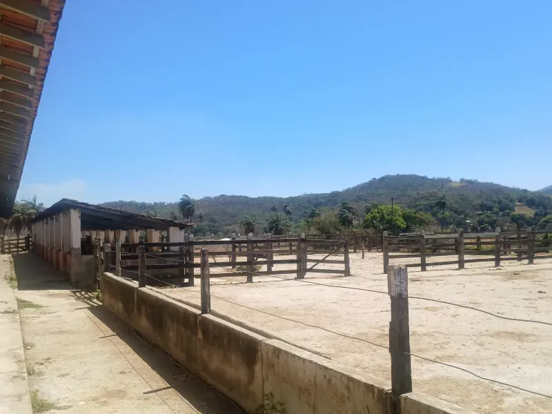 Fazenda em Santa Luzia/Minas Gerais — Ref IR1ZK2 — Imagem 15