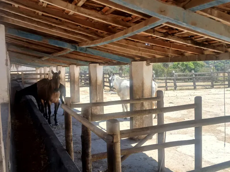 Fazenda em Santa Luzia/Minas Gerais — Ref IR1ZK2 — Imagem 18