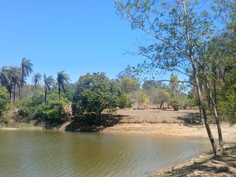Fazenda em Santa Luzia/Minas Gerais — Ref IR1ZK2 — Imagem 9