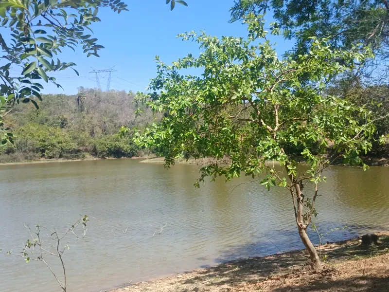 Fazenda em Santa Luzia/Minas Gerais — Ref IR1ZK2 — Imagem 8