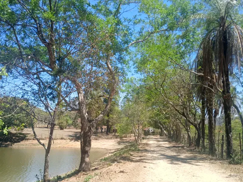 Fazenda em Santa Luzia/Minas Gerais — Ref IR1ZK2 — Imagem 10