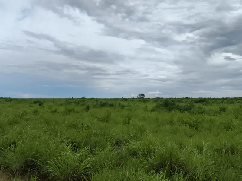 Fazenda em São João d'Aliança/Goiás — Ref D60J8P — Imagem 2