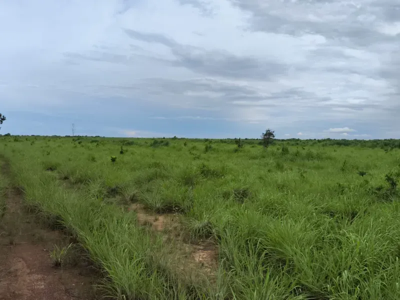 Fazenda em São João d'Aliança/Goiás — Ref D60J8P — Imagem 3
