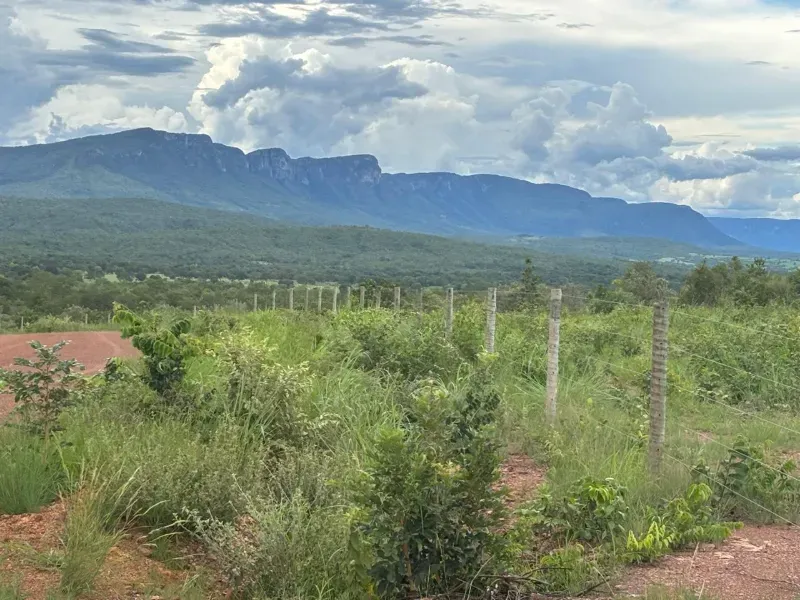 Fazenda em São João d'Aliança/Goiás — Ref D60J8P — Imagem 6