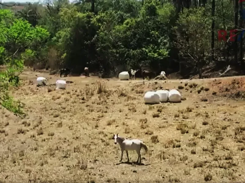 Fazenda em Santa Luzia/Minas Gerais — Ref IR1ZK2 — Imagem 17