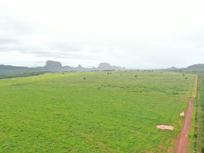 Fazenda em Poxoréu/Mato Grosso — Ref G16GYI — Imagem 5