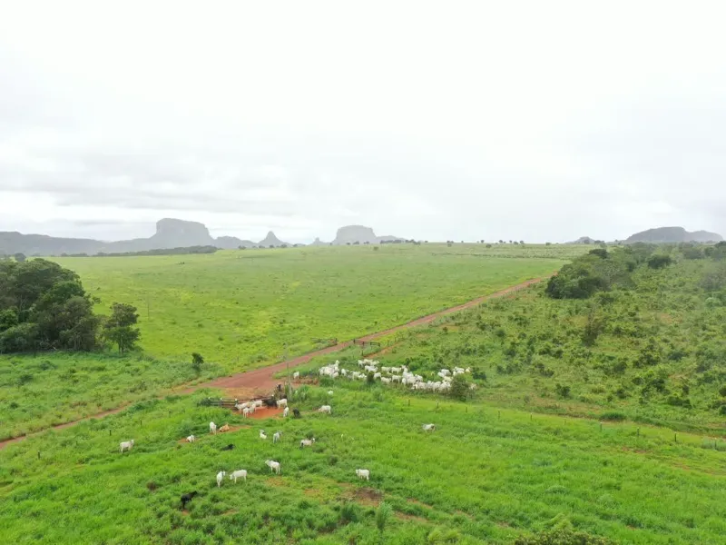 Fazenda em Poxoréu/Mato Grosso — Ref G16GYI — Imagem 6
