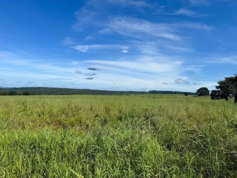 Fazenda em Poxoréu/Mato Grosso — Ref G16GYI — Imagem 8