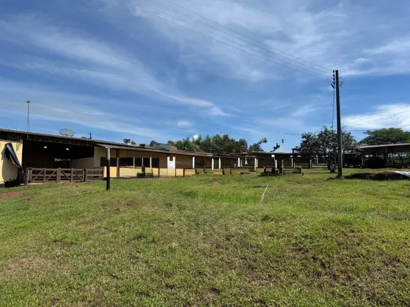 Fazenda em Poxoréu/Mato Grosso — Ref G16GYI — Imagem 10