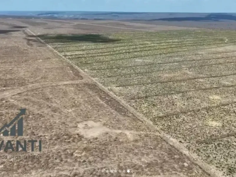 Fazenda em Pimenteiras/Piauí — Ref LA1TXN — Imagem 7