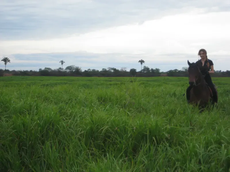 Imóvel rural em Pirapora/Minas Gerais — Ref BTL6IC1