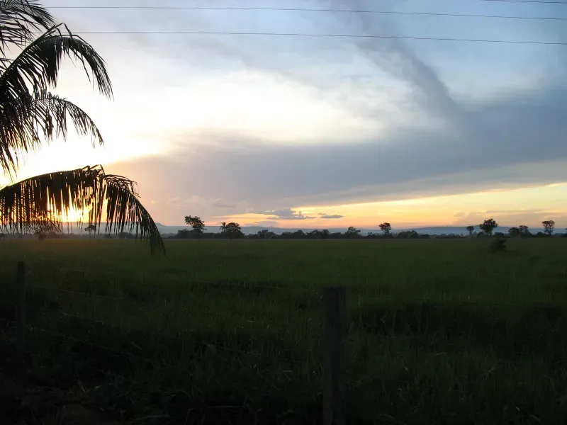 Fazenda em Pirapora/Minas Gerais — Ref BTL6IC — Imagem 14