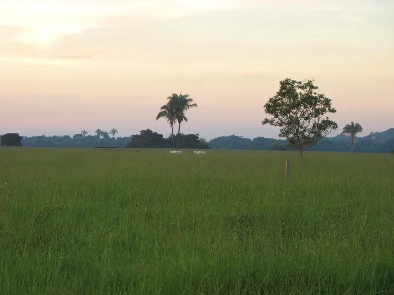 Fazenda em Pirapora/Minas Gerais — Ref BTL6IC — Imagem 2