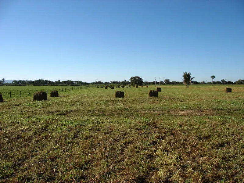 Fazenda em Pirapora/Minas Gerais — Ref BTL6IC — Imagem 15