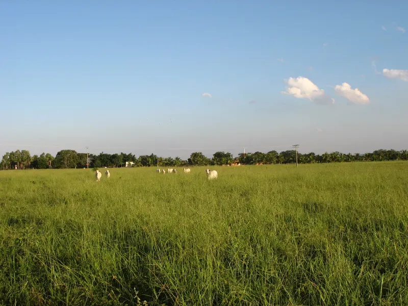 Fazenda em Pirapora/Minas Gerais — Ref BTL6IC — Imagem 25