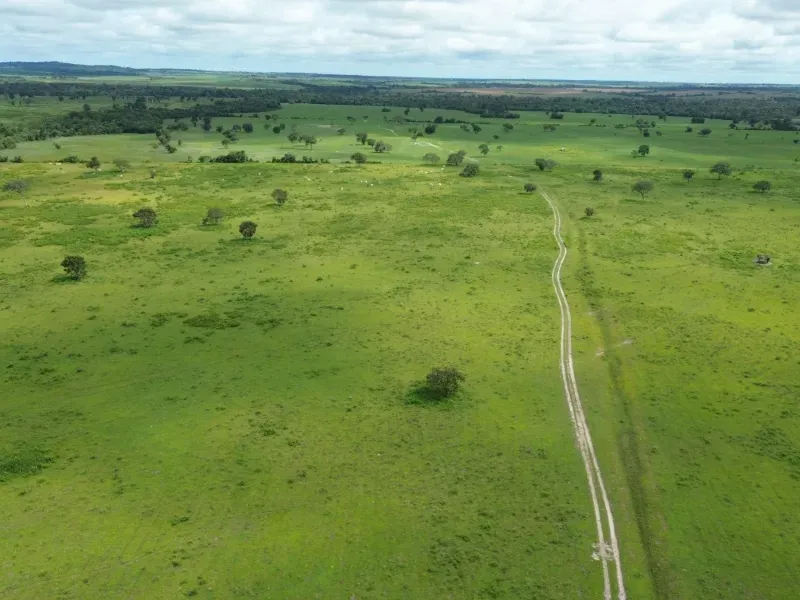Fazenda em Juarina/Tocantins — Ref 779QDB — Imagem 6