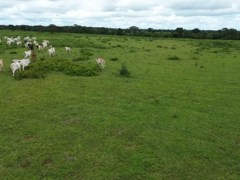 Fazenda em Juarina/Tocantins — Ref 779QDB — Imagem 22