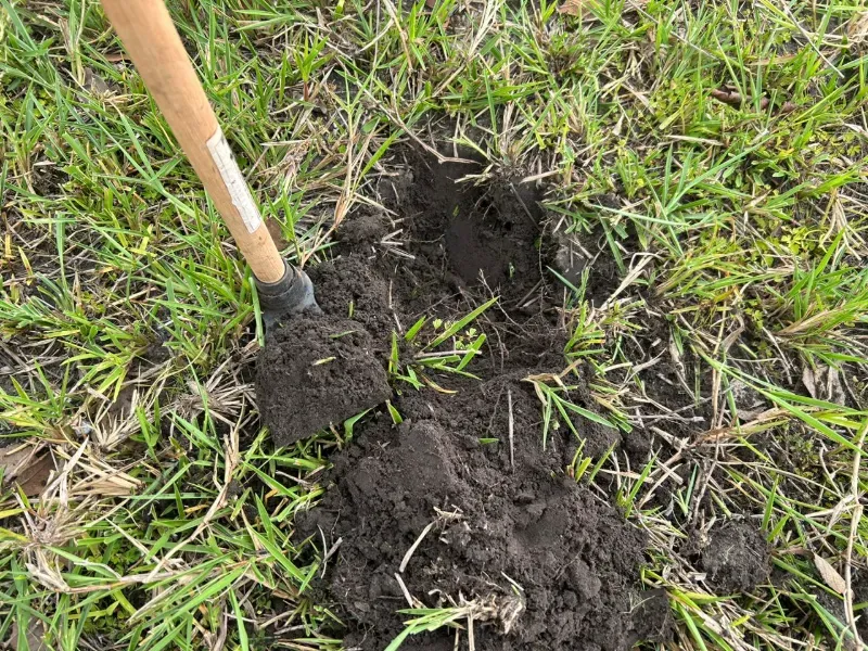 Fazenda em Juarina/Tocantins — Ref 779QDB — Imagem 3