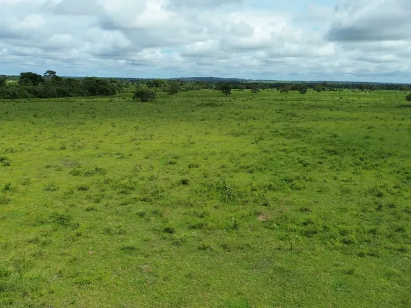 Fazenda em Juarina/Tocantins — Ref 779QDB — Imagem 7