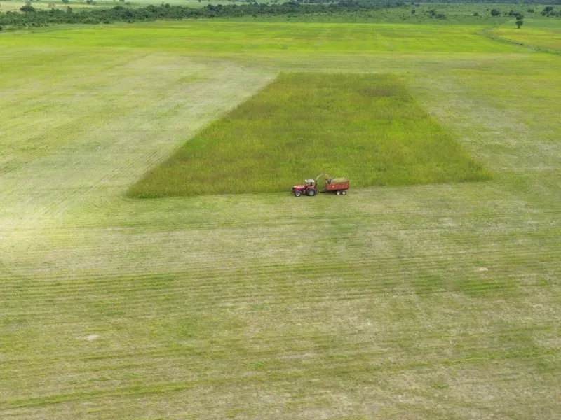 Fazenda em Juarina/Tocantins — Ref 779QDB — Imagem 18