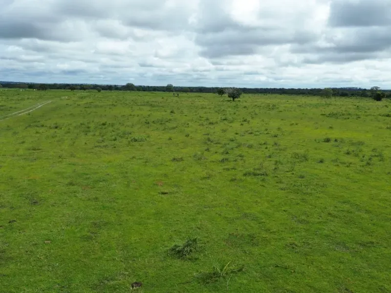 Fazenda em Juarina/Tocantins — Ref 779QDB — Imagem 8