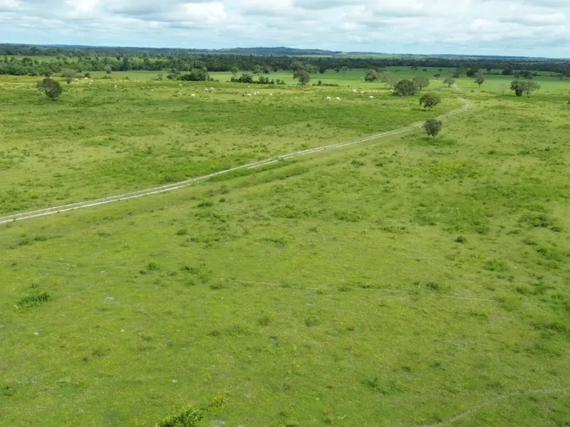 Fazenda em Juarina/Tocantins — Ref 779QDB — Imagem 4