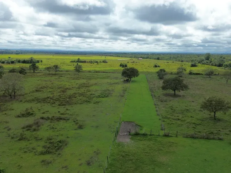 Fazenda em Juarina/Tocantins — Ref 779QDB — Imagem 20