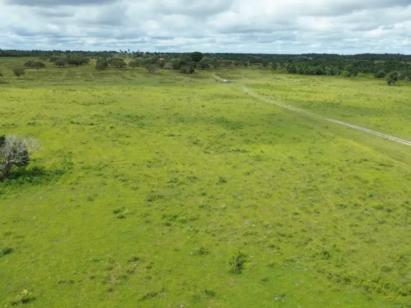 Fazenda em Juarina/Tocantins — Ref 779QDB — Imagem 5