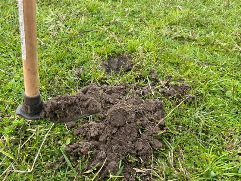 Fazenda em Juarina/Tocantins — Ref 779QDB — Imagem 2