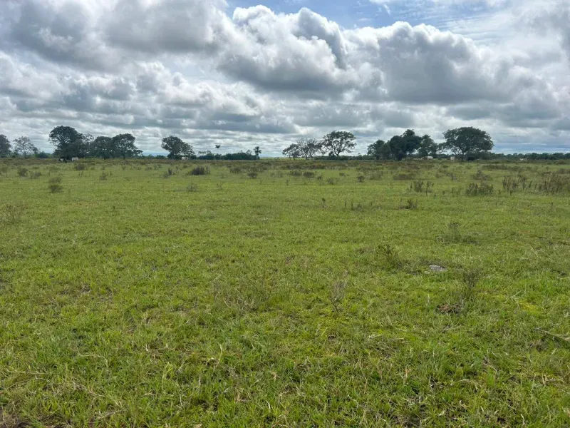 Fazenda em Juarina/Tocantins — Ref 779QDB — Imagem 11